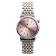97670412